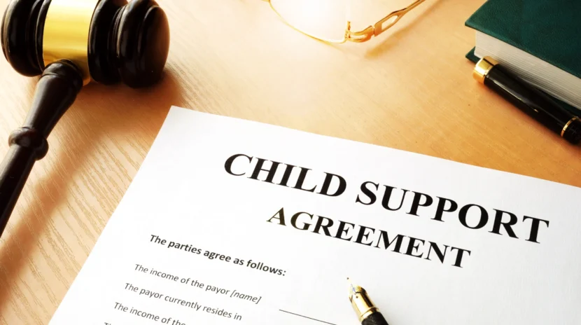 child_custody_support
