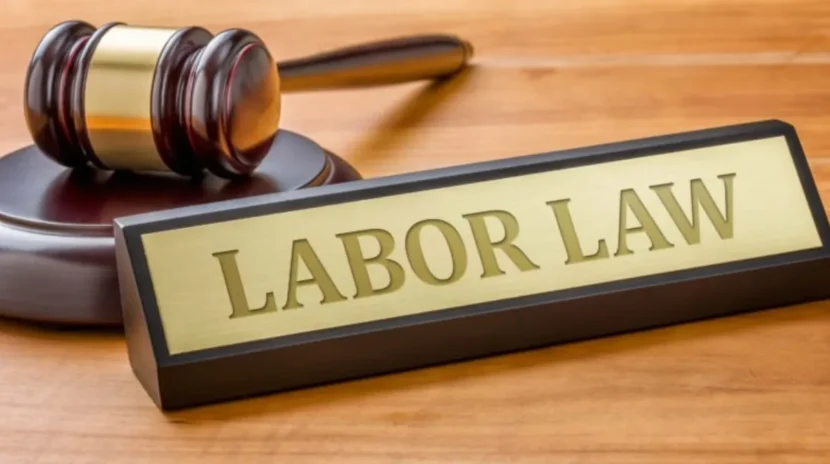 employment_labour_law